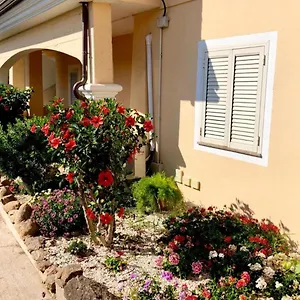 Casa Dolce Hibiscus Appartamento